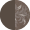 リリーブラウン