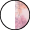 シェードピンク