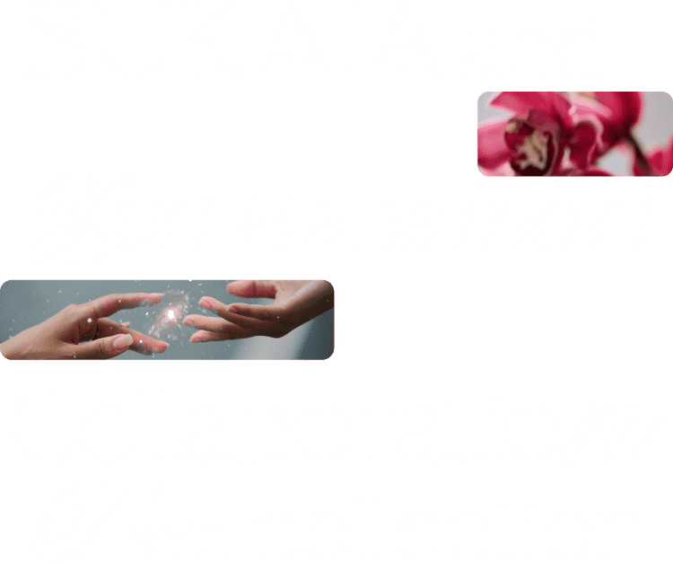 SUKALA and Yuri Hanamori Collaboration T-shirt Collection